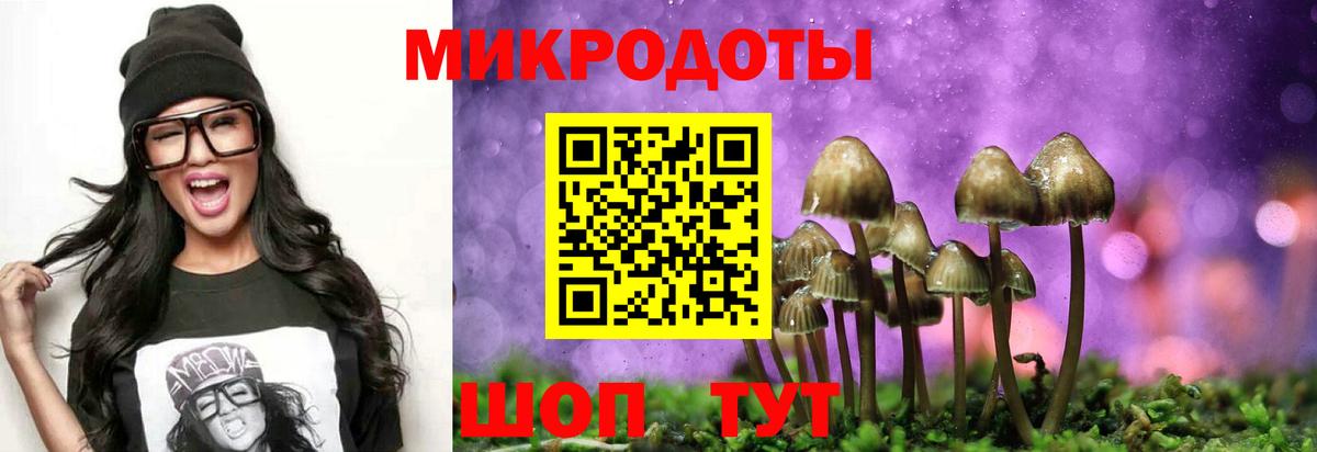 Биробиджан  Галлюциногенные грибы Psilocybe  Вход с VPN 